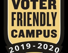 voter badge 